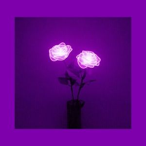 Meet your Posher, Yvette